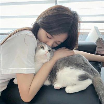 阴守忍者